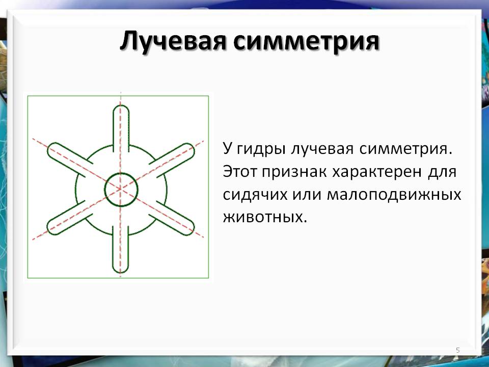 Купить наркоту
