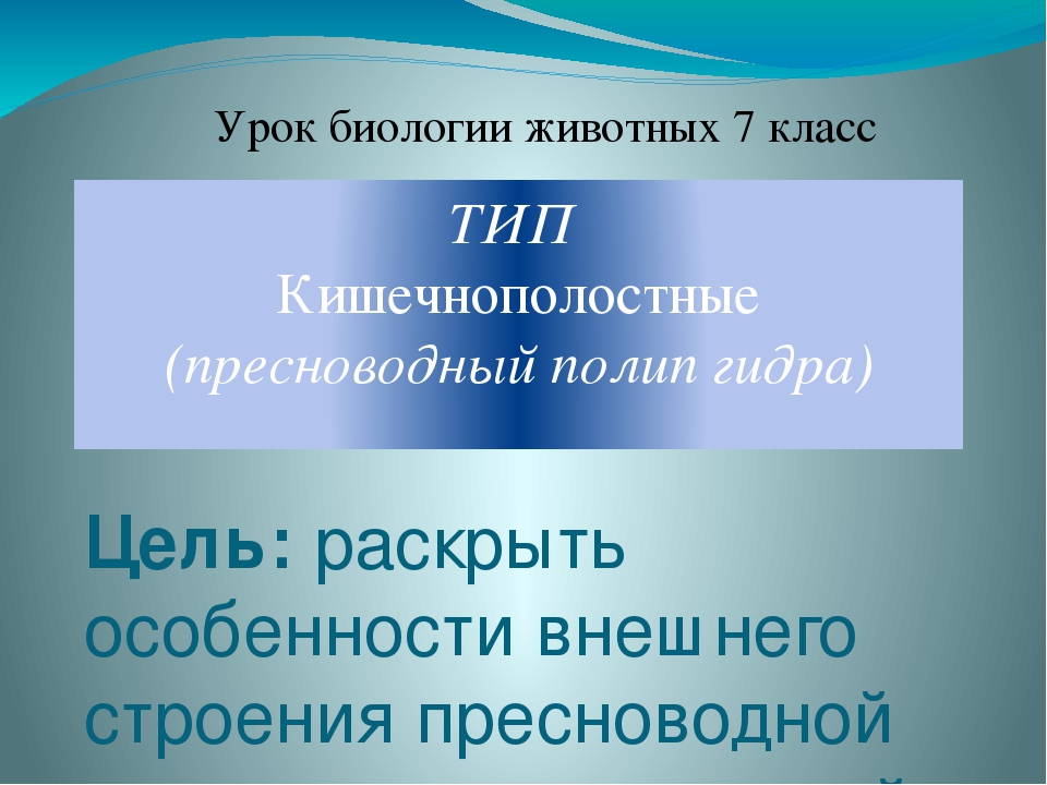 Аналог hydra